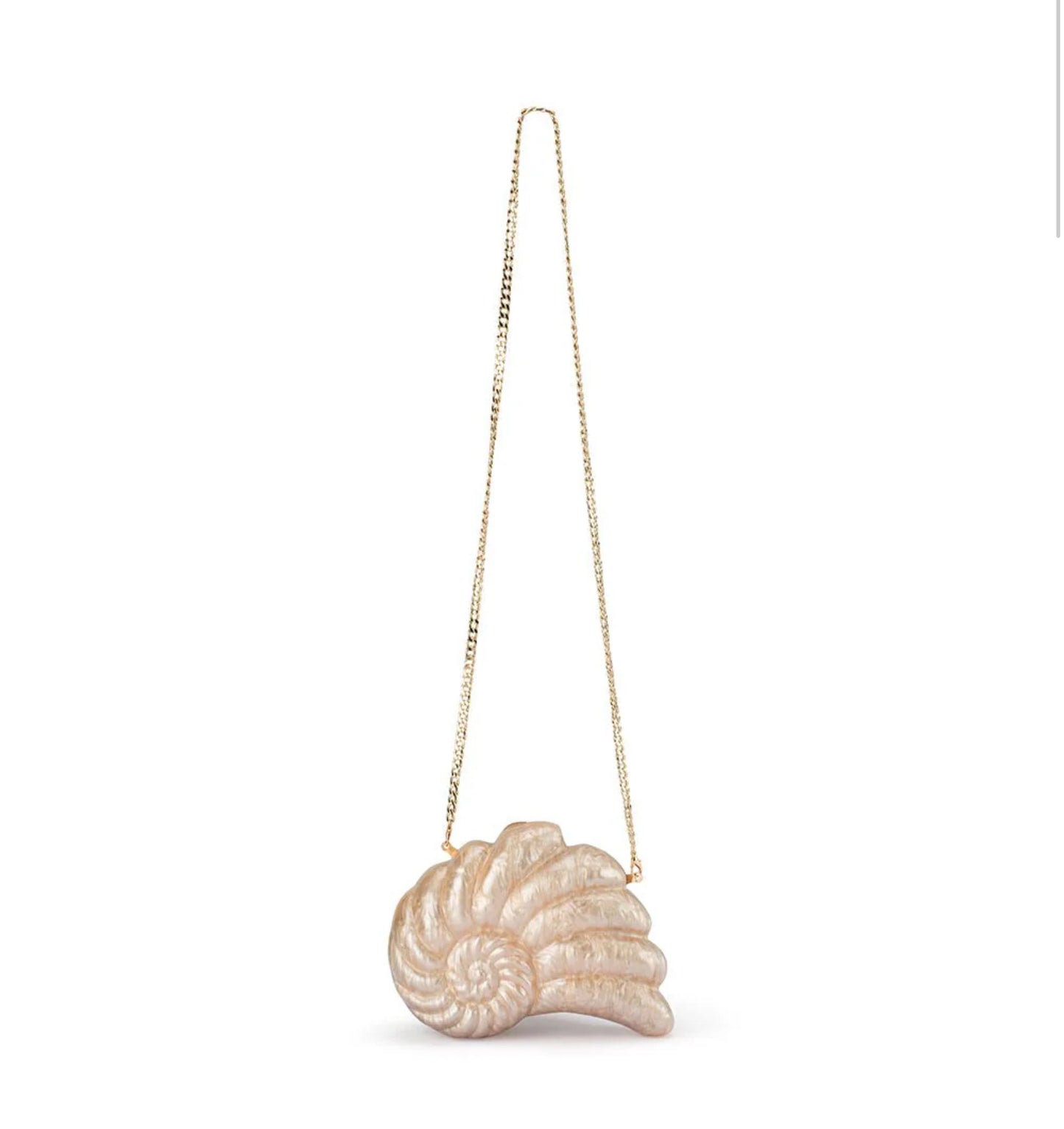 INDI ACRYLIC SHELL CLUTCH