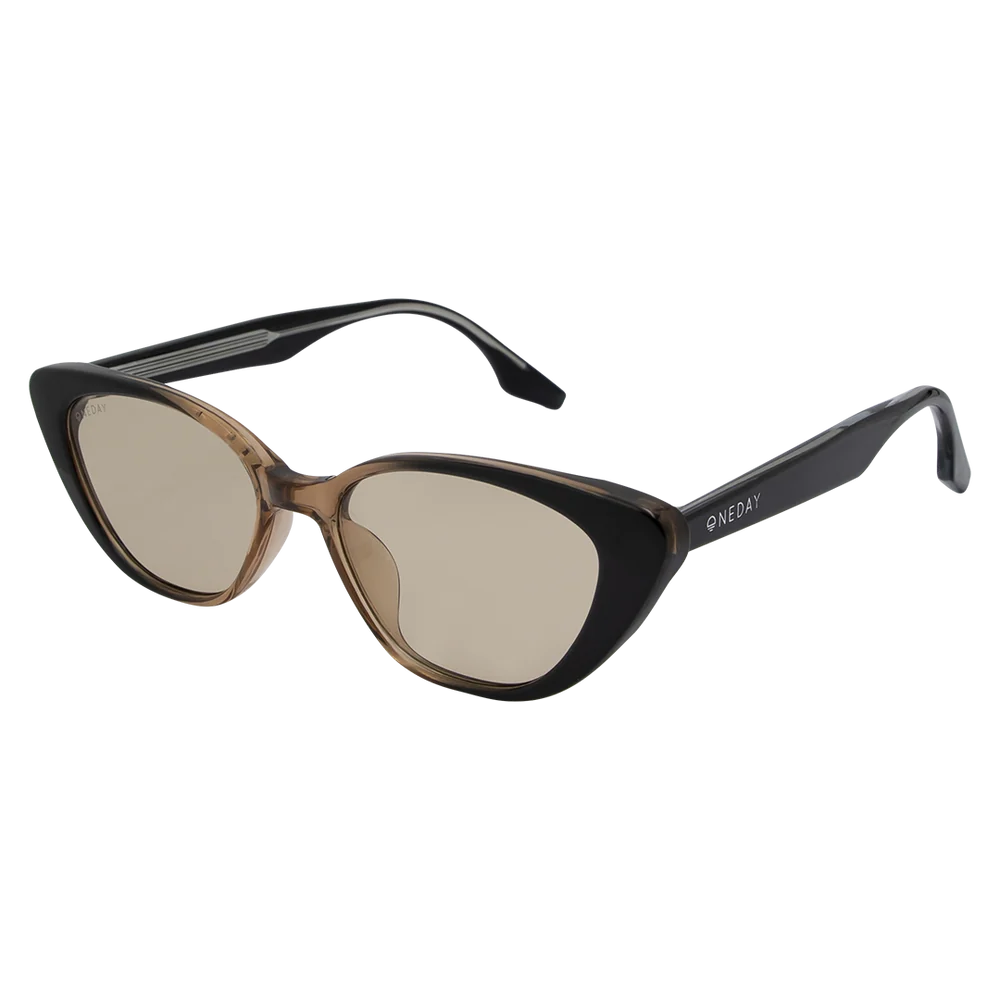 CELINE Black to Brown
