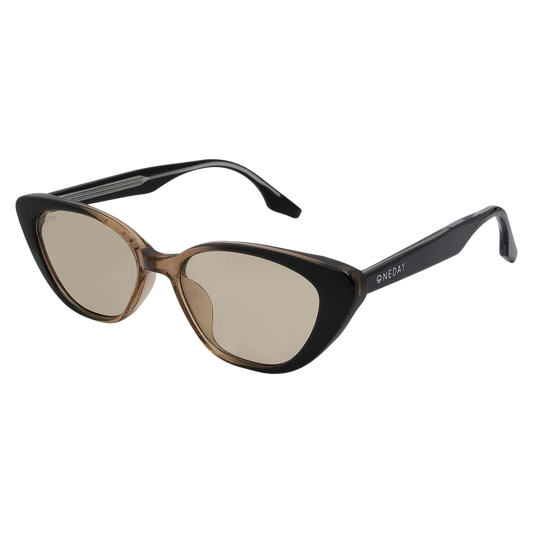 CELINE Black to Brown