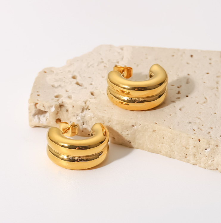 Armani Earrings