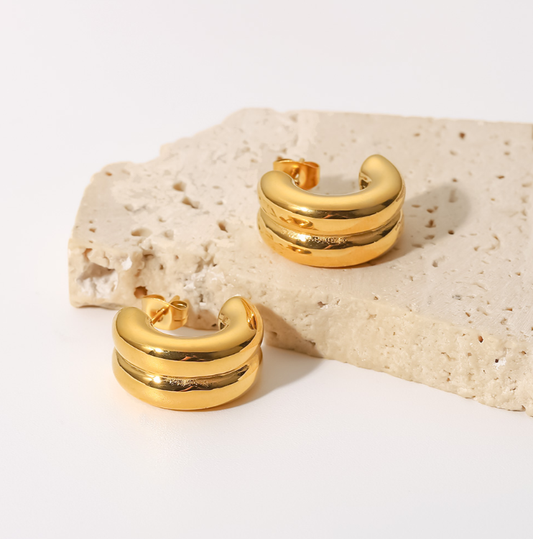 Armani Earrings