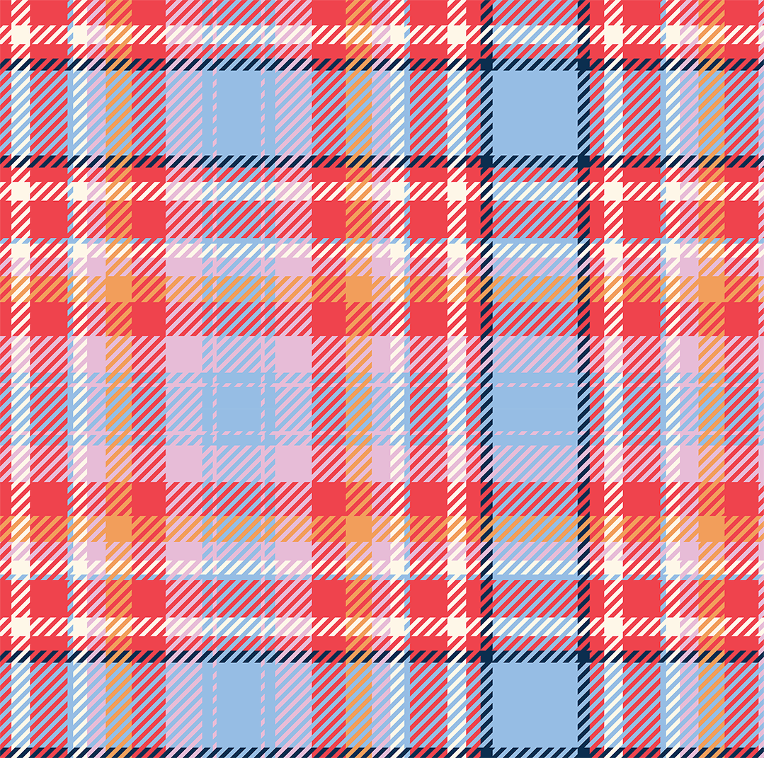 Tartan Mini Insulated Tote