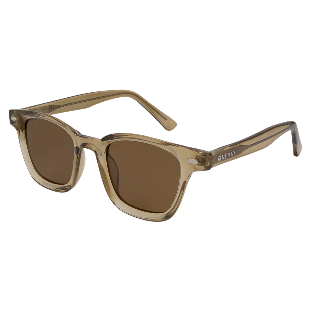 ASPEN Brown Polarised