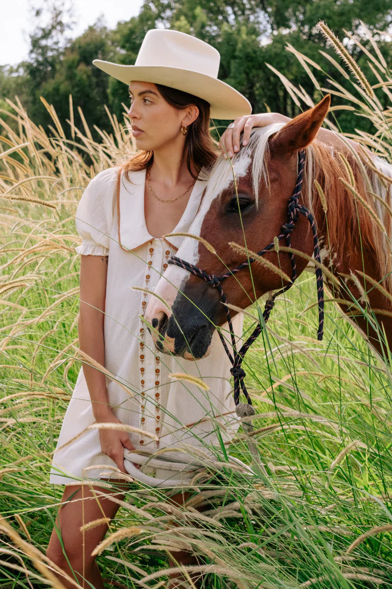 GABBY COLLARED MINI DRESS - CREAM