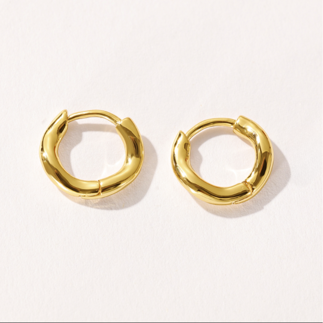 Twisted Hoop Earrings